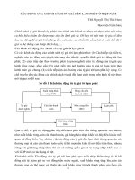 ảnh hưởng của tỷ giá lên lạm phát