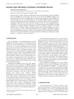 excimer laser fabrication of polymer microfluidic devices