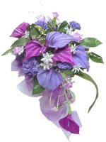 Giáo án tham khảo sinh học 9 Tiết 42 Ảnh hưởng của ánh sáng lên đời sống sinh vật