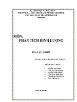 tiểu luận phân tích định lượng