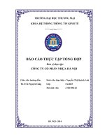 tình hình hoạt động tại công ty cổ phần nhựa hà nội