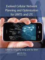 evolved cellular network planning and optimization for umts and lte