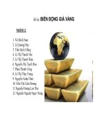 báo cáo môn học tài chính quốc tế biến động giá vàng