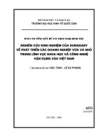 Nghiên cứu kinh nghiệm của Hungary về phát triển các doanh nghiệp vừa và nhỏ trong lĩnh vực khoa học và công nghệ, vận dụng vào việt nam