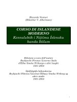 corso di islandese moderno