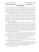 phân tích hoạt động kinh doanh của công ty TNHH một thành viên 43