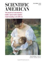 scientific american   -  1995 12  -  the puzzle of consciousness