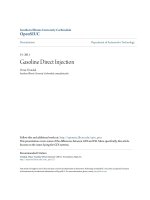 Gasoline direct injection