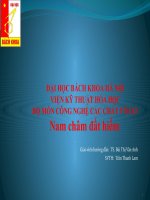 Nam châm đất hiếm