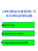 mối quan hệ markowitz và mô hình CAPM