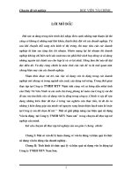 một số giải pháp nâng cao hiệu quả sử dụng vốn lưu động tại công ty tnhh mtv nam sơn