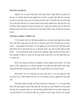 nghiên cứu kỹ thuật điều chế độ rộng xung để điều khiển tối ưu nghịch lưu đa bậc