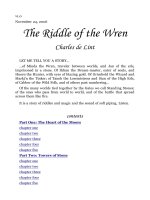 the riddle of the wren