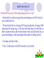 Giáo án tham khảo bồi dưỡng Sinh học lớp 9 Tiết 26 thường biến