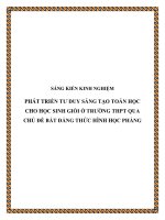 SKKN: Phát triển tư duy sáng tạo toán học cho học sinh giỏi ở trường THPT qua chủ đề bất đẳng thức hình học phẳng