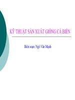 KỸ THUẬT SẢN XUẤT GIỐNG CÁ BIỂN