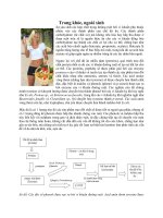 Trong khỏe ngoài xinh