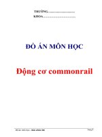 Tài liệu về hệ thống phun nhiên lieu commonrail
