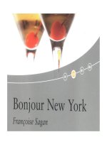 bonjour new york