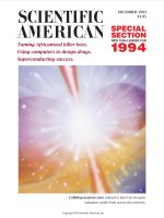 scientific american   -  1993 12  -  taming africanized killer bees