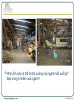 BÁO CÁO ĐÁNH GIÁ TÁC ĐỘNG MÔI TRƯỜNG DỰ ÁN NHÀ MÁY CHẾ BIẾN NGUYÊN LIỆU THUỐC LÁ CÔNG SUẤT 24300 TẤN SẢN PHẨM/NĂM