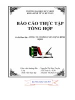 Báo cáo kiến tập tổng hợp tại công ty cổ phần xây dựng Bình Định