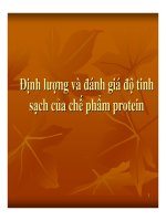 bài giảng công nghệ protein enzyme chương 10 định lượng và đánh giá độ tinh sạch của chế phẩm protein