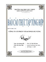Báo cáo kiến tập hạch toán tại công ty cổ phần Vinaconex Đà Nẵng