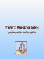 Chapter 12 Mass - Storage Systems