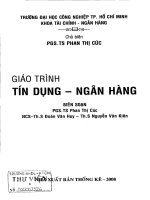 Tín dụng ngân hàng phan thị cúc, thống kê, 2008