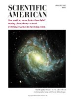 scientific american   -  1993 08  -  can particles move faster than light