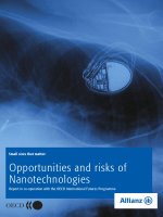 opportunities and risks of nanotechnologies