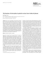 mechanisms of absorption in pulsed excimer laser induced plasma