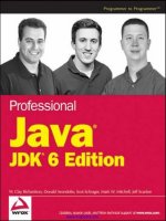 professional  java  jdk  6  edition