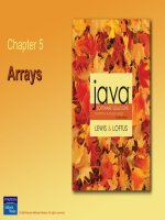 Chapter 5 Arrays