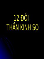 12 đôi thần kinh sọ