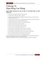 tài liệu vận hành và quản trị etimegold chương 16 hợp đồng lao động