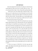 nghiên cứu tình hình sử dụng tscđ-vcđ năm 2008 của công ty hồng hà – tổng cục cnqp