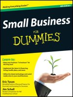 small business for dummies [electronic resource]