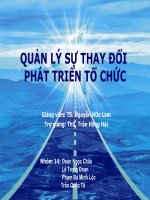 thuyết trình quản lý sự thay đổi phát triển tổ chức
