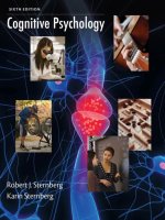 cognitive psychology 6th ed.  -  r. sternberg (cengage, 2012)