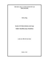 toán tử tích phân cực đại trên trường địa phương
