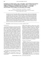 Involvement of peroxidase in enzymatic browning