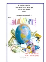 báo cáo bài tập môn tài chính quốc tế đô la hóa nền kinh tế