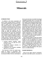 Minerals - Principle of food chemistry