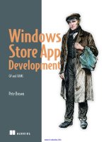 windows store app development