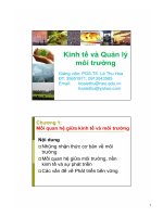 Bài giảng Kinh tế và Quản lý môi trường: Chương 1 - Phó giáo sư-thạc sĩ Lê Thu Hoa