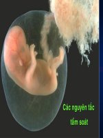 các nguyên tắc tẩm soát