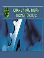 quản lý mâu thuẫn trong tổ chức