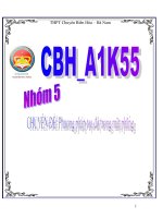 Phương pháp tọa độ trong mặt phẳng